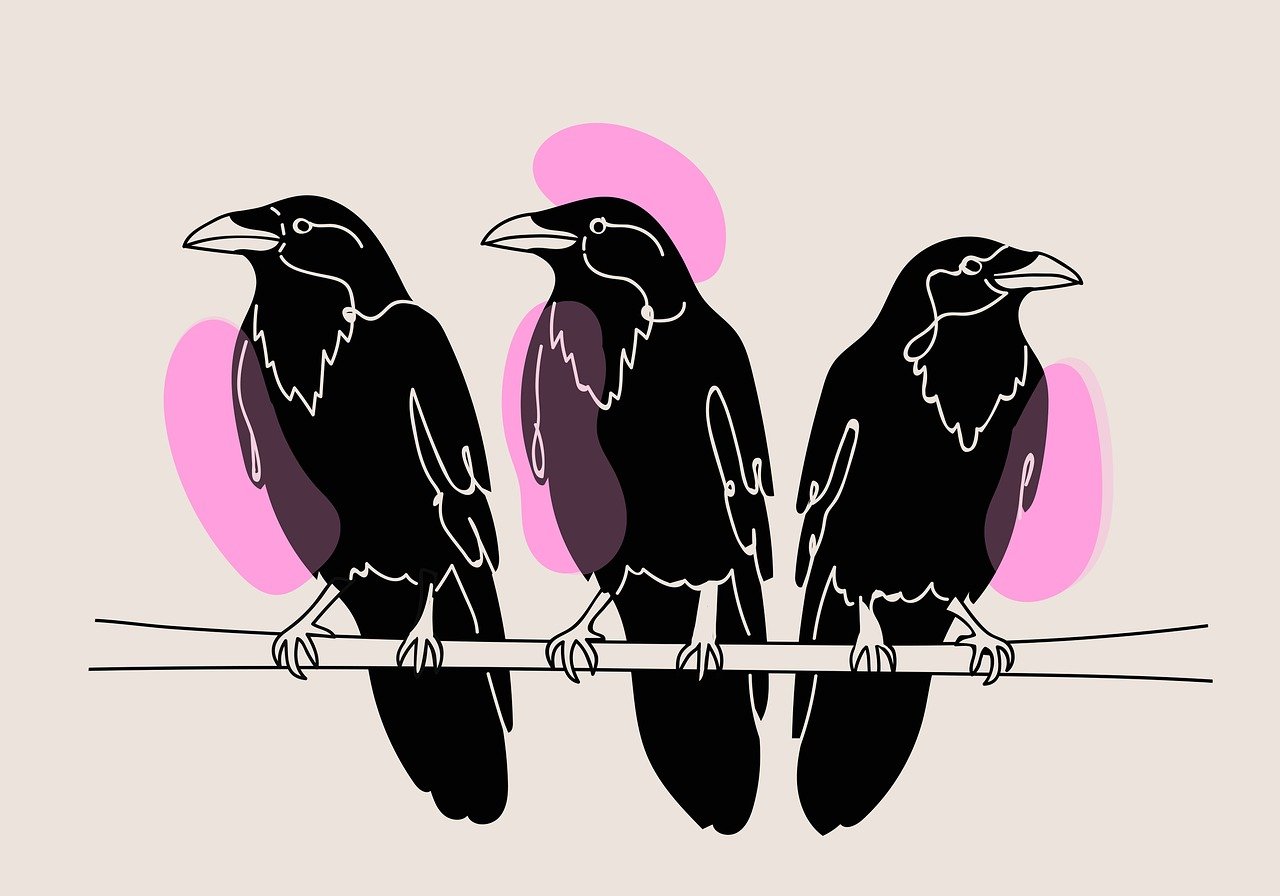 From Petite Struggles to Fashion Triumphs: A Journey of Self-Discovery